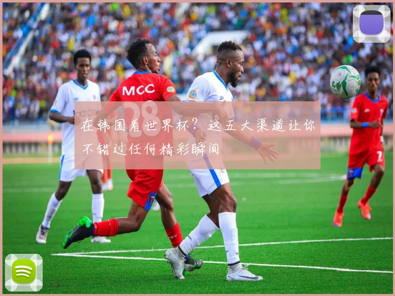 在韩国看世界杯？这五大渠道让你不错过任何精彩瞬间