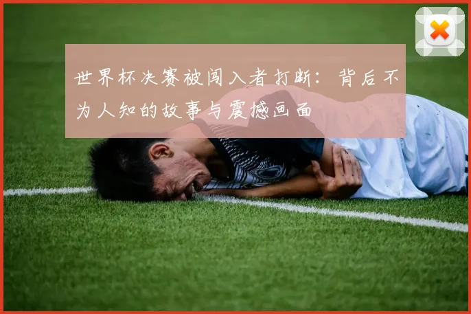 世界杯决赛被闯入者打断：背后不为人知的故事与震撼画面